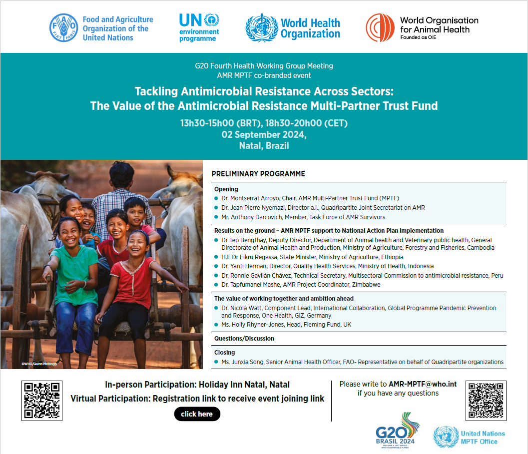 AMR MPTF G20 cobranded side event flyer