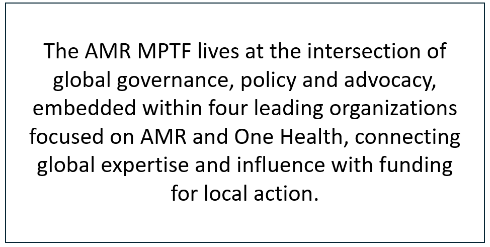 text box mptf about page text box mptf about page