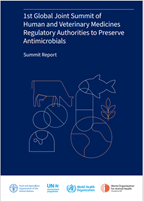 MicrosoftTeams-image (1)