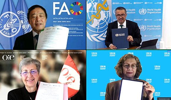 thumbnail_image001 thumbnail_image001