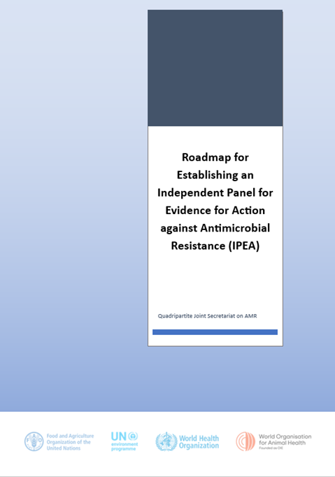 Roadmap for the Establishment of the Independent Panel for Evidence for Action against Antimicrobial Resistance (IPEA)