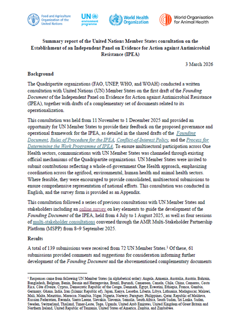 Summary report of the IPEA UN Member States consultation