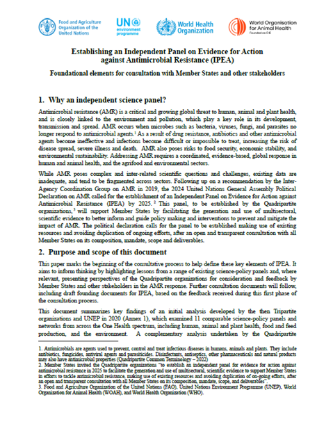 Establishing an Independent Panel on Evidence for Action against Antimicrobial Resistance (IPEA)