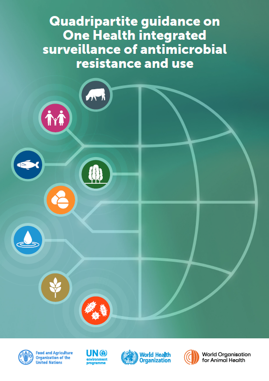 Thumbnail for QPT OHISA Guidance