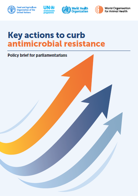 Key actions to curb antimicrobial resistance: policy brief for parliamentarians