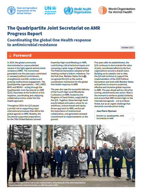 The Quadripartite Joint Secretariat on AMR Progress Report - 2025