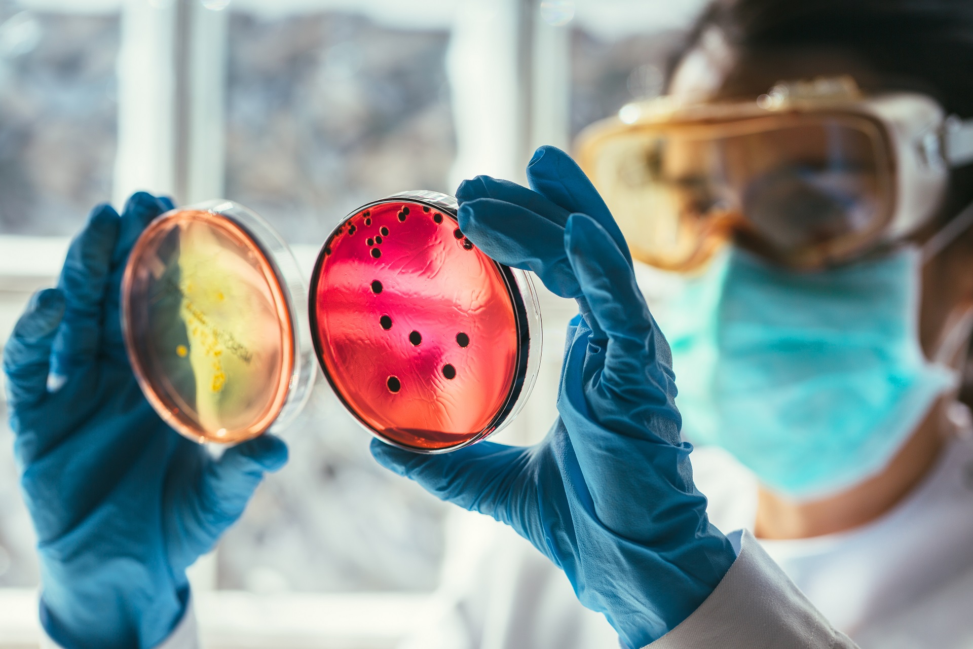 What are antimicrobials
